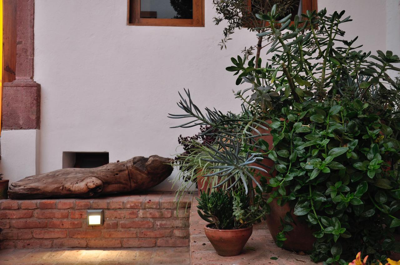 Clandestino Hotel Recreo - Adults Only Σαν Μιγκέλ ντε Αγιέντε Εξωτερικό φωτογραφία